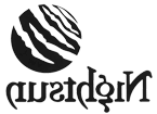 Nightsun logo